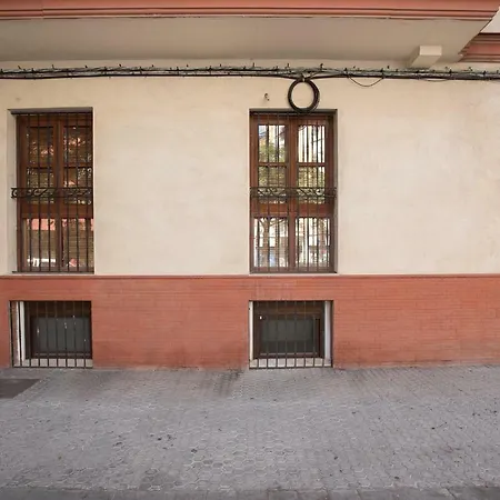 Alohamundi Amador De Rios Sevilla
